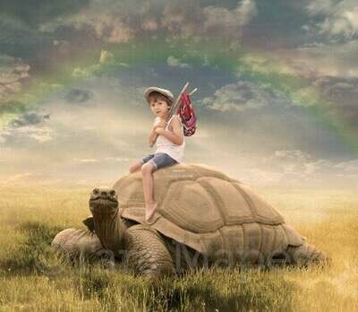 Big Turtle in Field with Rainbow Digital Background Backdrop