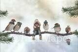 Birds on a Branch in Winter Hats Digital Background / Backdrop