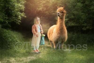 Brown Baby Alpaca in Forest Digital Background - Alpaca digital backdrop - Funny Sweet Digital Background Backdrop