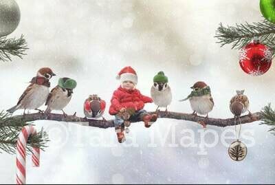 Christmas Birds Digital Background - Birds on Branch in Snow Christmas Tree Digital Background / Backdrop