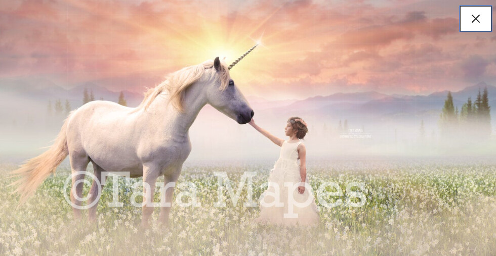 Unicorn Digital Background - Magical Horse in Flowering Field at Sunrise Digital Background
