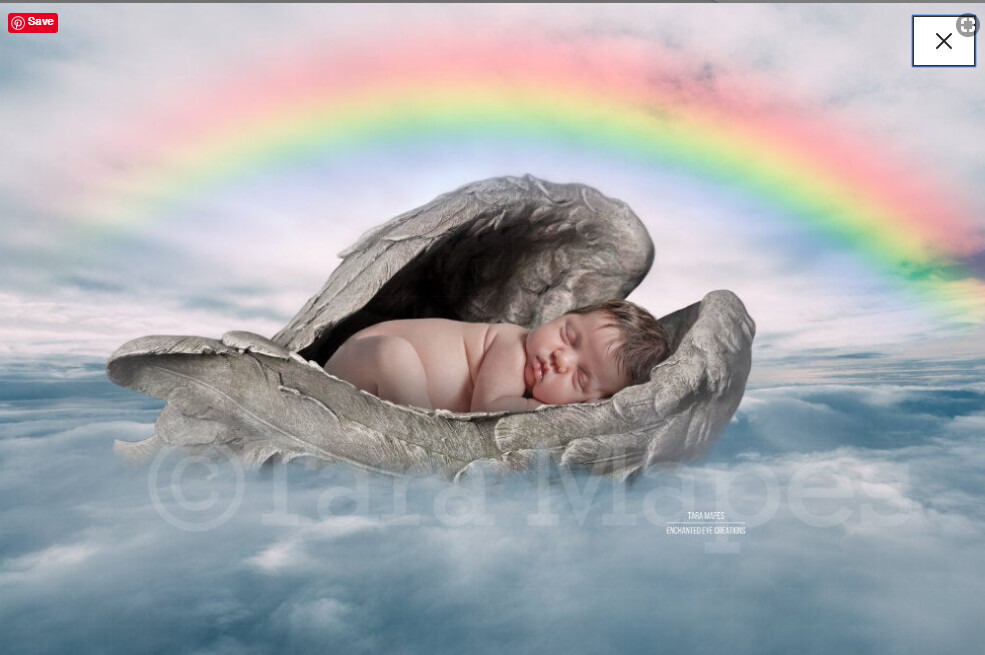 Rainbow Baby Digital Background - Heaven Sent Fur Baby Newborn or Animal PSD Layered Digital Background Backdrop