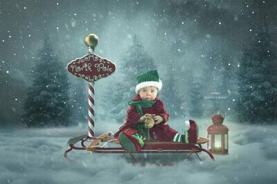 Sled in North Pole Christmas Digital Background Backdrop