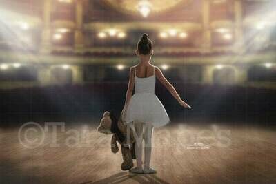 Empty Theater Stage Facing Crowd / Seating for Ballerina or Performer Digital Background / Backdrop