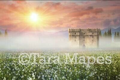 Castle in Field of Flowers Digital Background / Backdrop