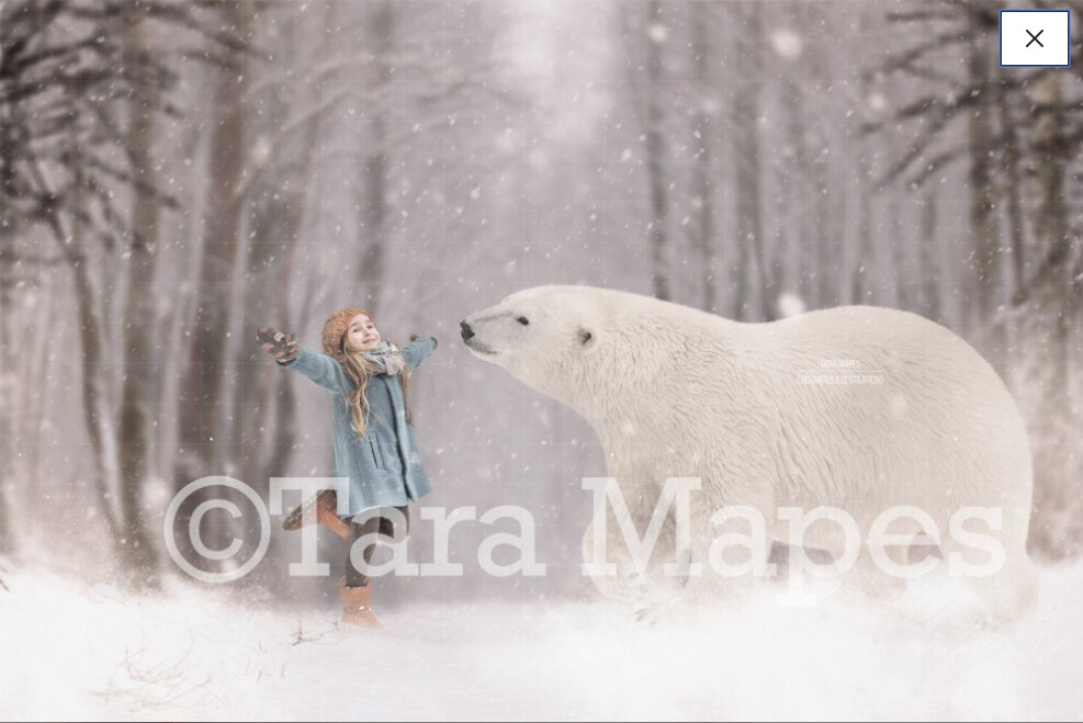 Polar Bear Digital Background Snowy Scene Winter Digital Background Backdrop