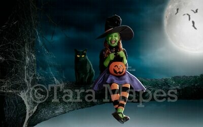 Black Cat - Halloween Tree - Witch Branch - Branch at Night with Black Cat - Witch Halloween Digital Background Backdrop