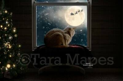 Christmas Window Seat for Cat Dog  - Animals - Cat Bed- Dog Seat - at Window Sill - Santa in Moon Digital Background Backdrop
