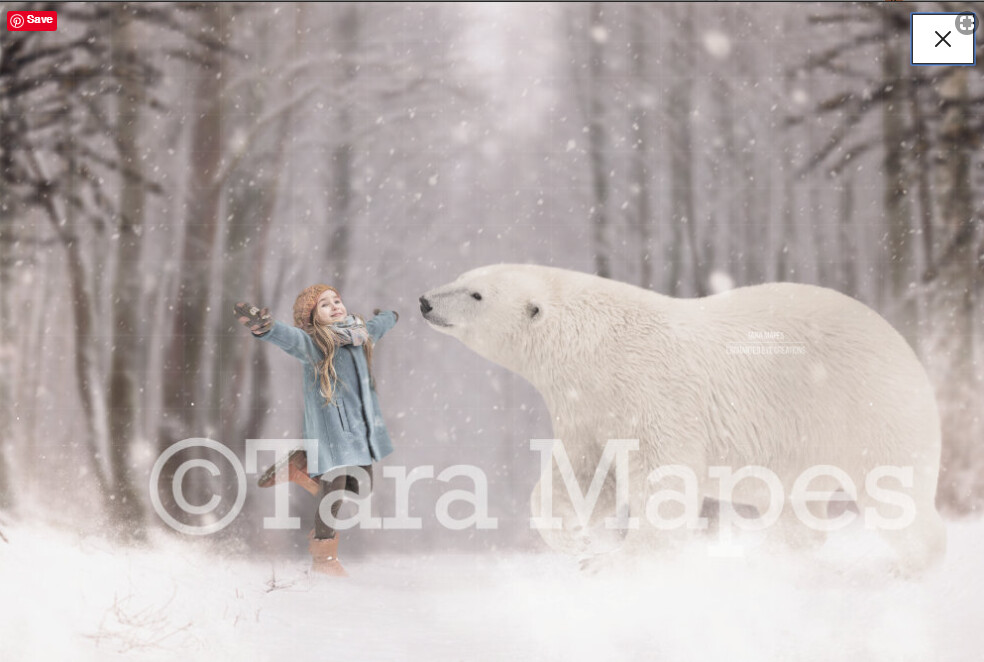 Polar Bear Snowy Scene Winter Digital Background Backdrop