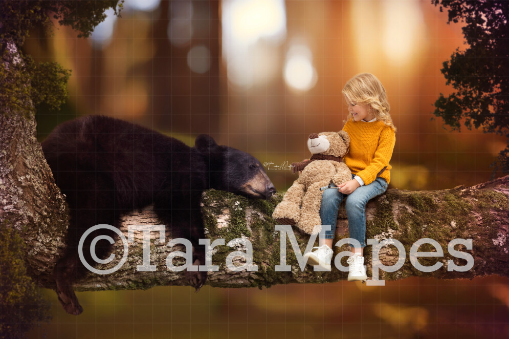 Baby Bear on Branch Digital Background / Backdrop