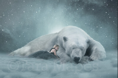 Polar Bear in Clouds at Night Starry Sky Digital Background Backdrop