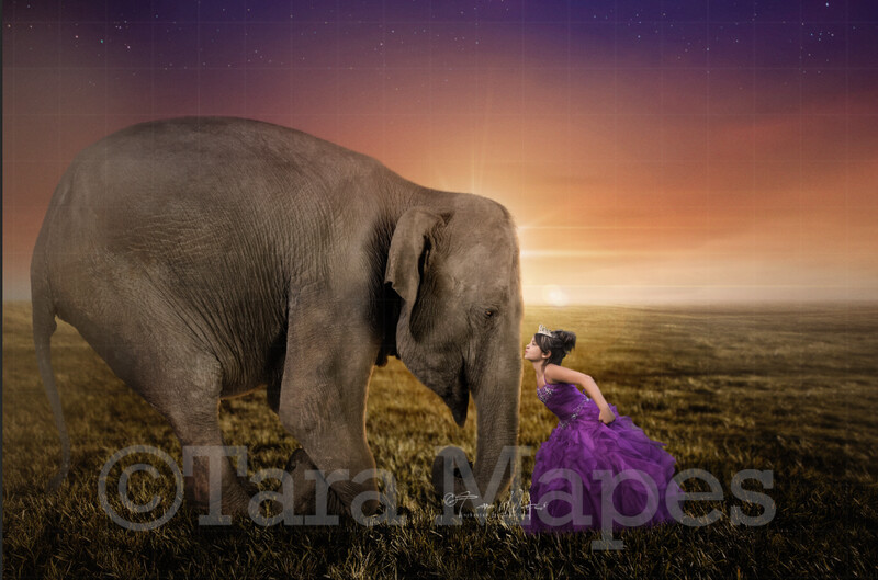 Elephant Bowing in Field Digital Background / Backdrop