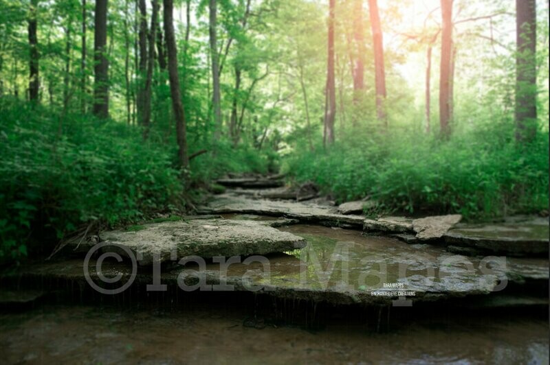 Creek Rocks in Woods Nature Digital Background Backdrop