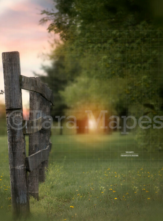 Country Fence with Sunset by Field Creamy Digital Background Backdrop