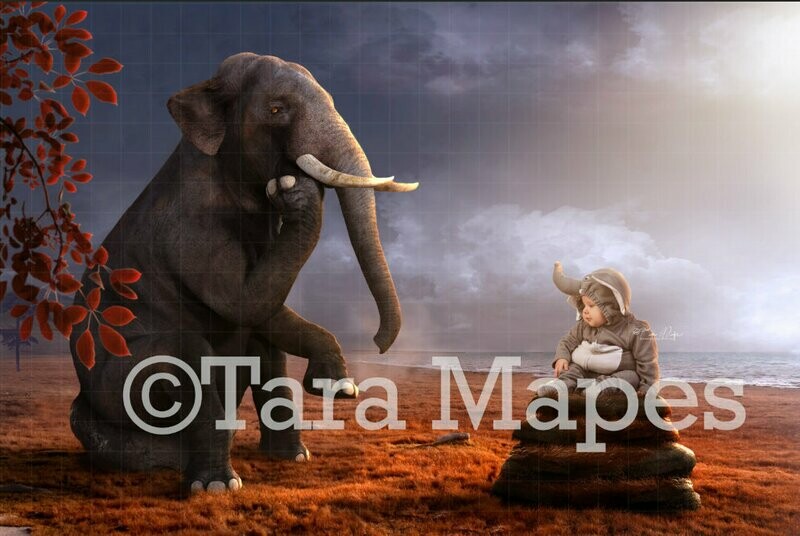 Elephant by Ocean Thinking Digital Background / Backdrop