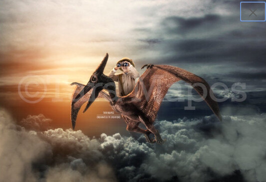 Pterodactyl- Flying Dinosaur Digital Background Backdrop