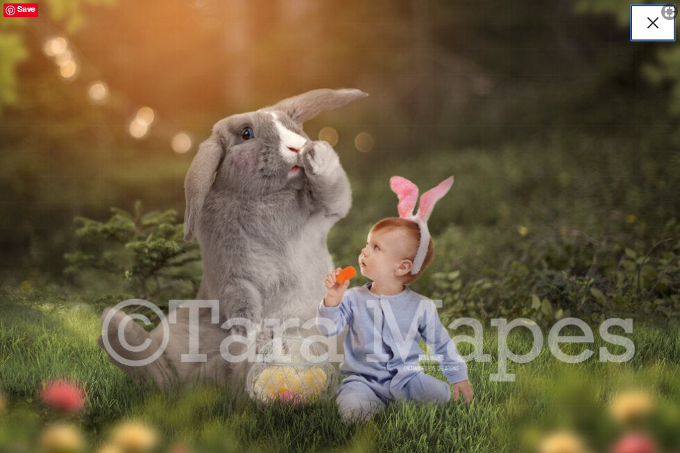 Funny Bunny in Creamy Forest - Rabbit in spring forest -Nature Forest Digital Background / Backdrop