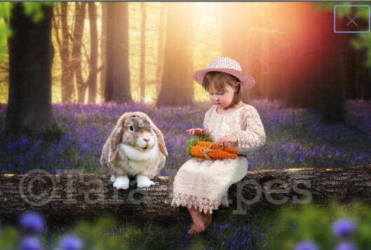 Easter Bunny in Bluebell Forest on Log - White Rabbit in creamy forest - Log in Forest Digital Background / Backdrop