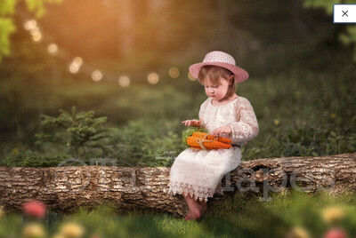 Easter Forest Spring Forest Log - Creamy forest - Log in Forest Digital Background / Backdrop