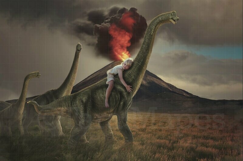 Dinosaurs by Erupting Volcano in Field Digital Background