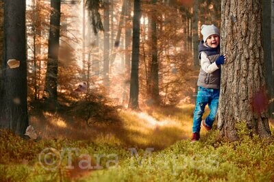 Fall Forest Autumn Fall Leaves Digital Background Backdrop