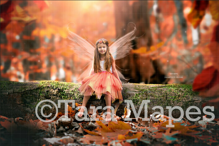 Fairy Log in Magical Autumn Fall Forest Digital Background / Backdrop