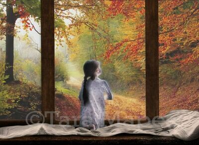 Fall Autumn Window Digital Background Backdrop