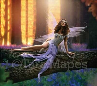 Fairy Log in Magical Bluebell Forest Digital Background / Backdrop