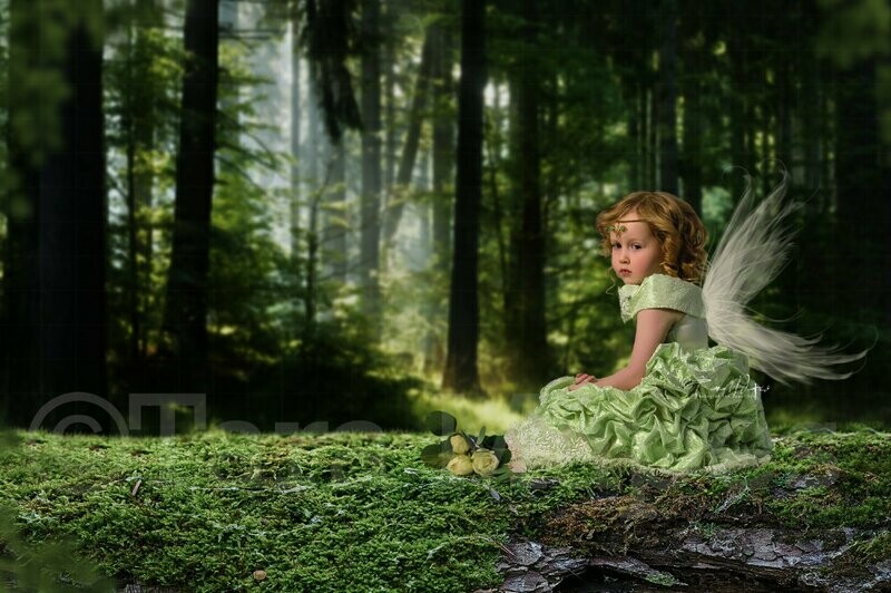 Fairy Log in Forest Digital Background Backdrop