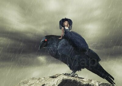 Crow with Red Eyes Halloween Digital Background Backdrop
