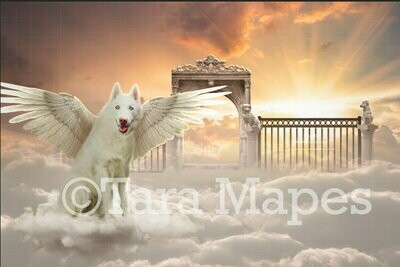Doggy Heaven - Rainbow Heavens Gates Dog Heaven Digital Background / Backdrop