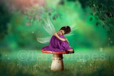 Fairy Mushroom in Enchanted Forest - Magical Forest Fairy Mushroom Digital Background / Backdrop