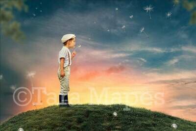 Dandelion Hill -Grassy Hill Blowing Dandelions- Sunset  Digital Background / Backdrop
