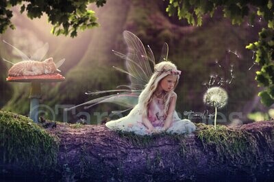 Fairy Kitten on Mushroom Fairy Log Digital Background