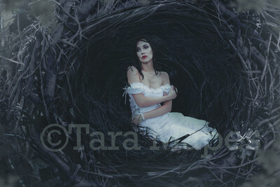 Enchanted Forest Nest - Magic Tunnel - Stick and Brush Tunnel Background Backdrop