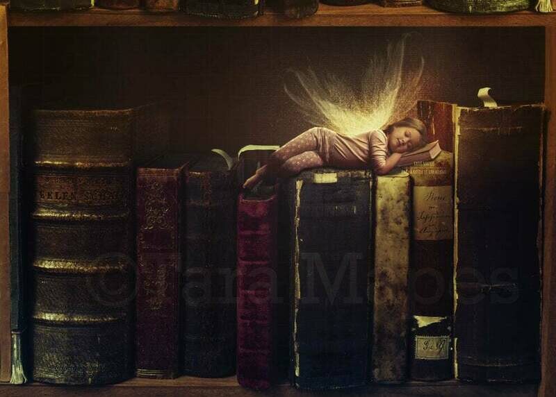 Fairy Sleeping on Book in Bookshelf Digital Background Backdrop Photoshop