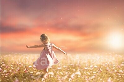Field of  Flowers at Sunset Creamy Digital Background / Backdrop