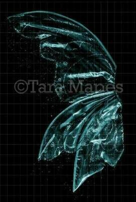 Teal Turquoise Blue Green Glitter Fairy Wing Overlay - Glittery Fairy Wing Overlay - Fairy Digital Wings - Sparkles Fairy Wing