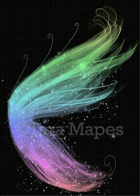 Rainbow Wings PNG Glitter Sparkly Fairy Wing - Fairy Wing Overlay - Fairy Wing Overlay - Fairy Digital Wing PNG