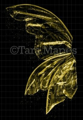 Gold Glitter Fairy Wing Overlay - Rainbow Glittery Fairy Wing Overlay - Fairy- Digital Wings - Sparkles Fairy Wing