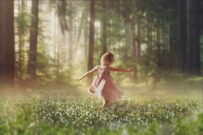 Forest and Field of Flowers Digital Background / Backdrop