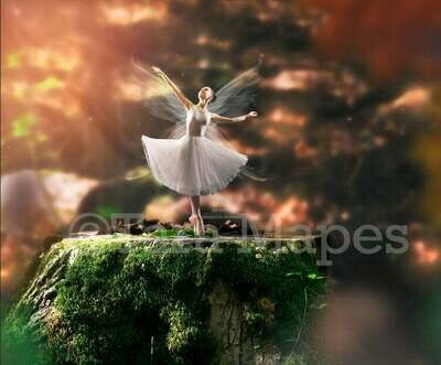 Fairy Stump  in Creamy Rich Forest Digital Background / Backdrop