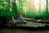 Fox on Creek Rocks in Woods Nature Digital Background Backdrop