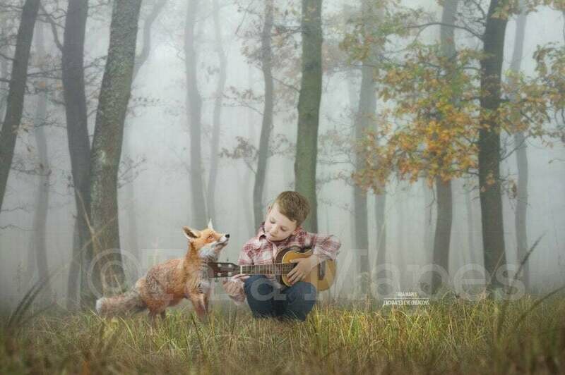 Fox in Foggy Forest Spring Autumn Creamy Digital Background Backdrop