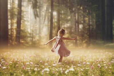 Forest and Field of Pink Flowers Digital Background / Backdrop