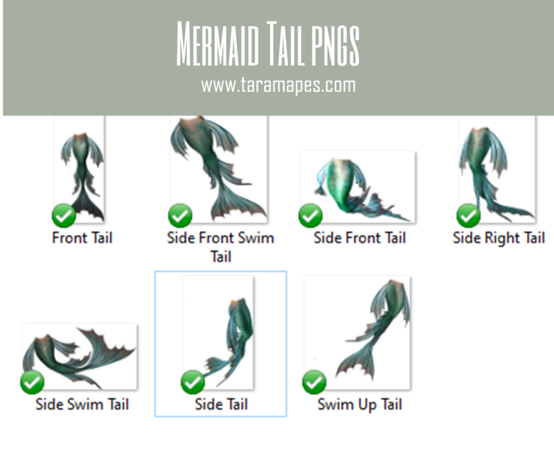 Mermaid Tail PNGS - 7 Pack Mermaid Tails - Mermaid Fin - PNG  overlay