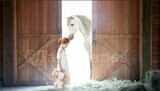 Horse in Barn Digital Background