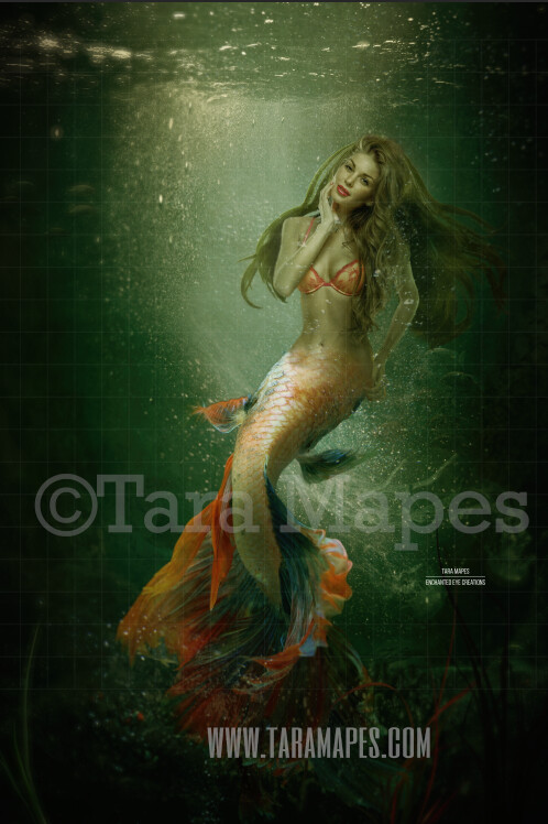 Realistic Dark Mermaid Underwater - Layered PSD Mermaid Digital Background Backdrop - Separate Element Layers -Tail Layer is Separate