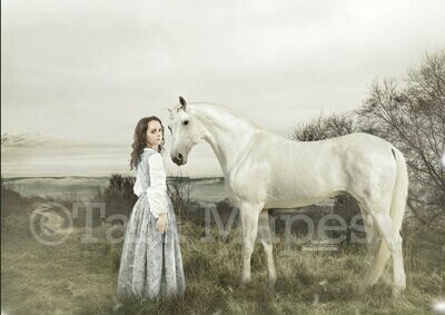 Horse Vintage Painting Appearance - Painterly Look - Unicorn without the Horn -  Digital Background Backdrop