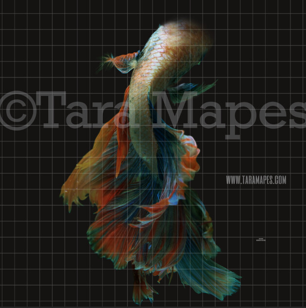 Realistic Mermaid Tail  - PNG  overlay - Transparent Background